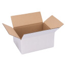 Carton simple cannelure 20 x 15 x 9 cm envoi postal &...